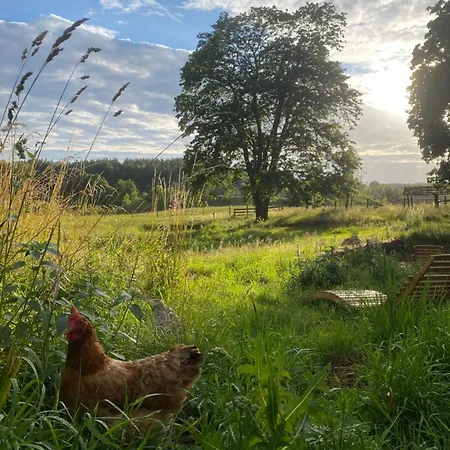 Ferienwohnung Siedlisko Biale Blota Skorzewo  Exterior foto