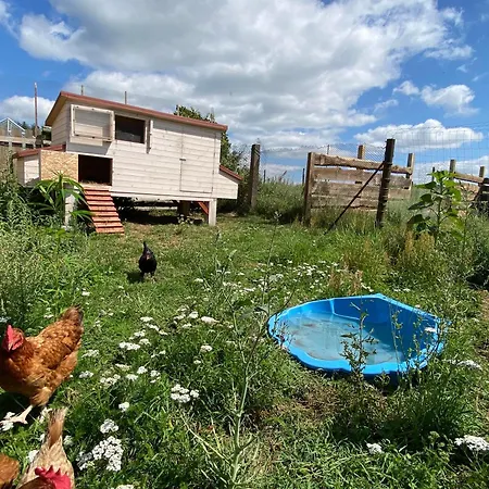 Ferienwohnung Siedlisko Biale Blota Skorzewo  Exterior foto