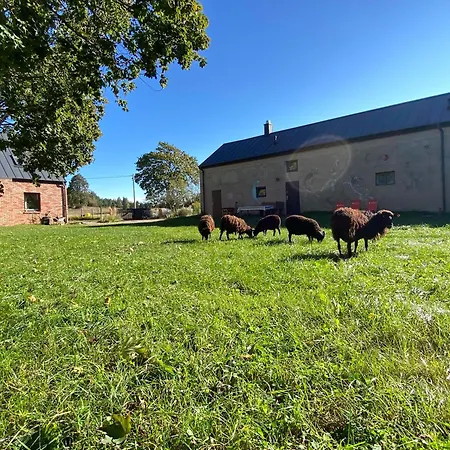 Ferienwohnung Siedlisko Biale Blota Skorzewo  Exterior foto
