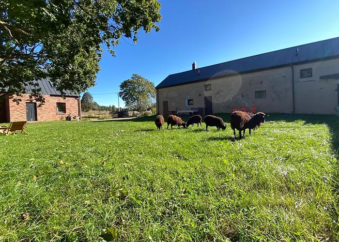 Siedlisko Biale Blota