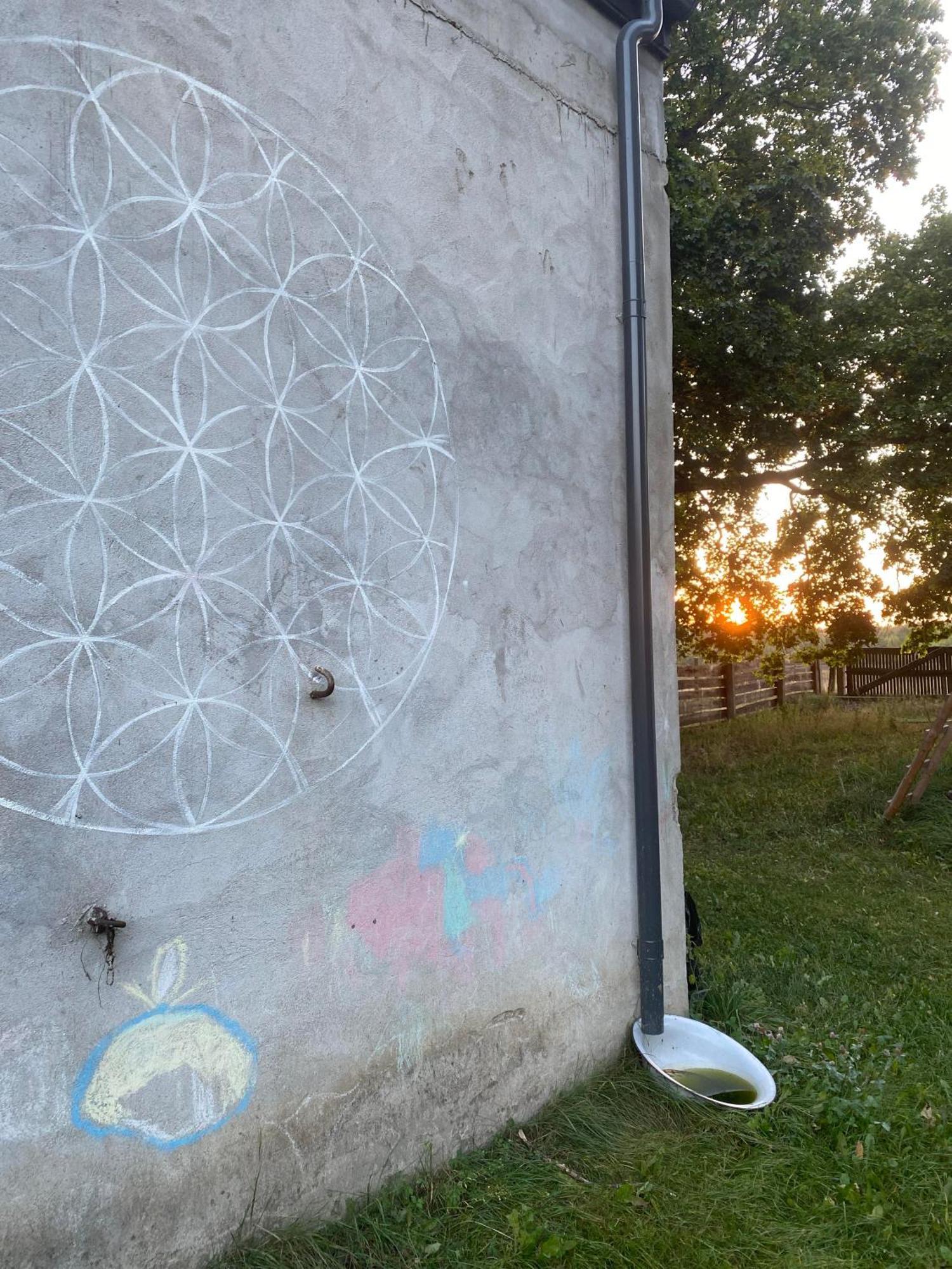 Siedlisko Biale Blota Skorzewo (Koscierzyna)