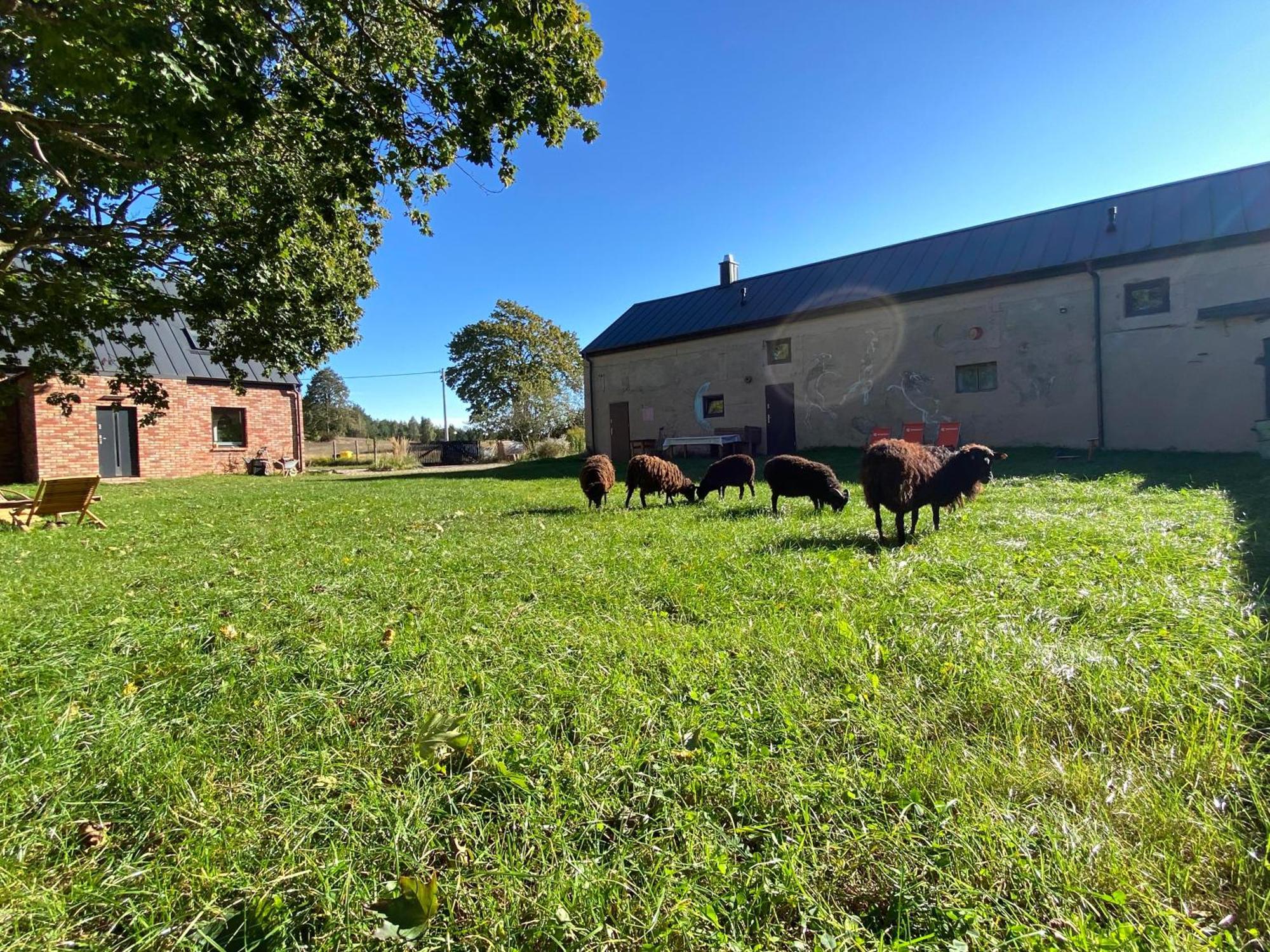 Siedlisko Biale Blota Skorzewo (Koscierzyna)
